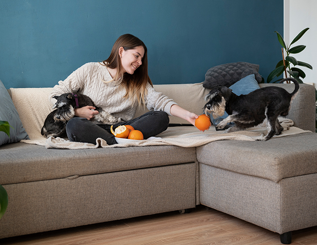 Cazare cu o noapte (24h)