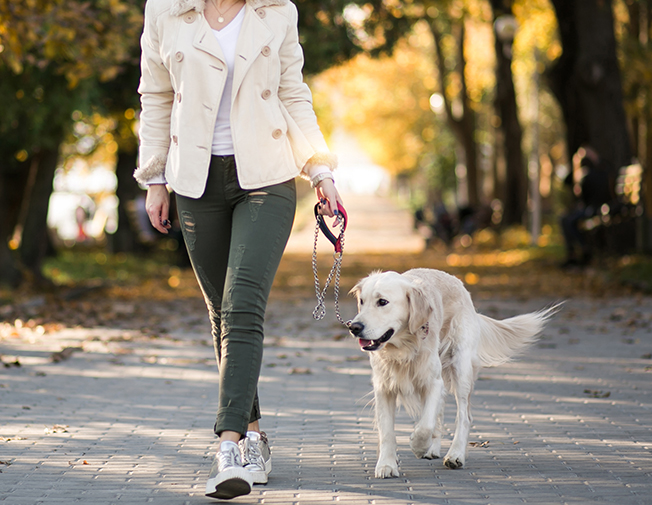 Plimbare standard – 60 min