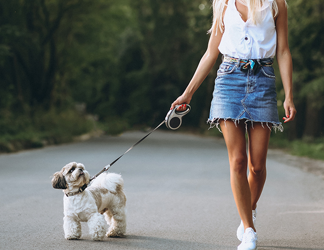 Plimbare lungă – 90+ min